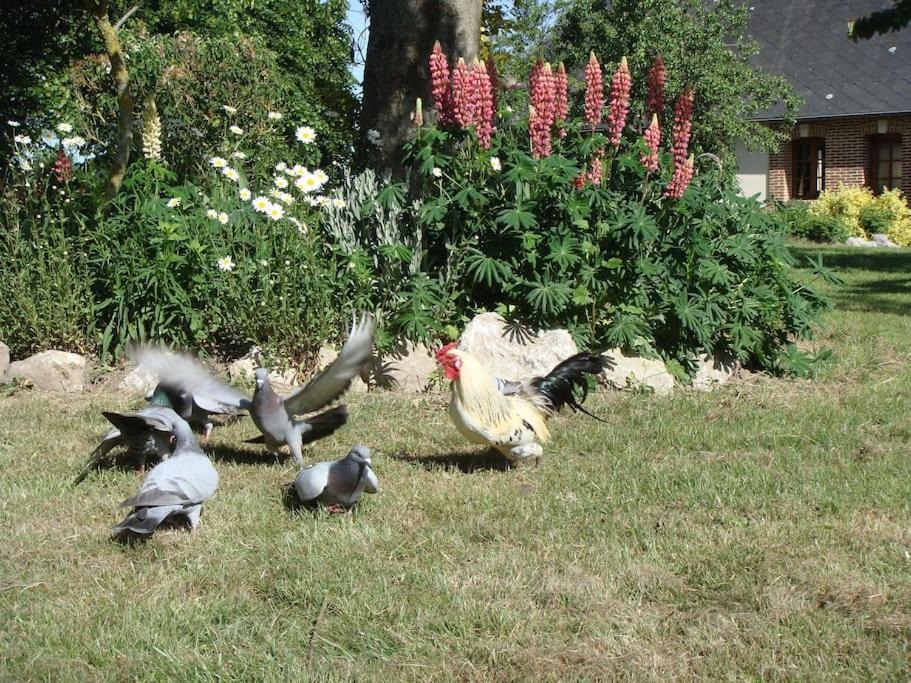 Les Coquelicots Villa Nibas Eksteriør bilde