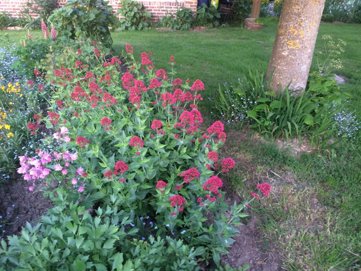 Les Coquelicots Villa Nibas Eksteriør bilde